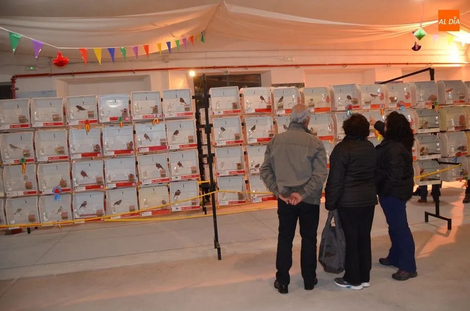 Foto 4 - Unos 800 canarios de 70 criadores compiten en el Campeonato de Castilla y Le&oacute;n  