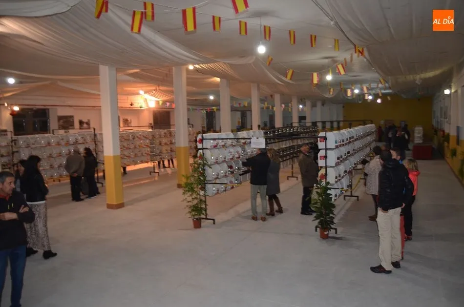 Foto 3 - Unos 800 canarios de 70 criadores compiten en el Campeonato de Castilla y Le&oacute;n  
