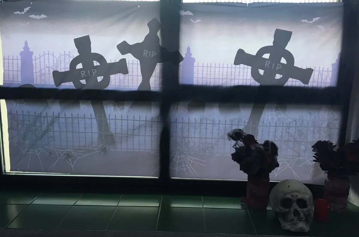 Foto 7 - Los coles de la comarca se vuelcan con la celebraci&oacute;n de Halloween  