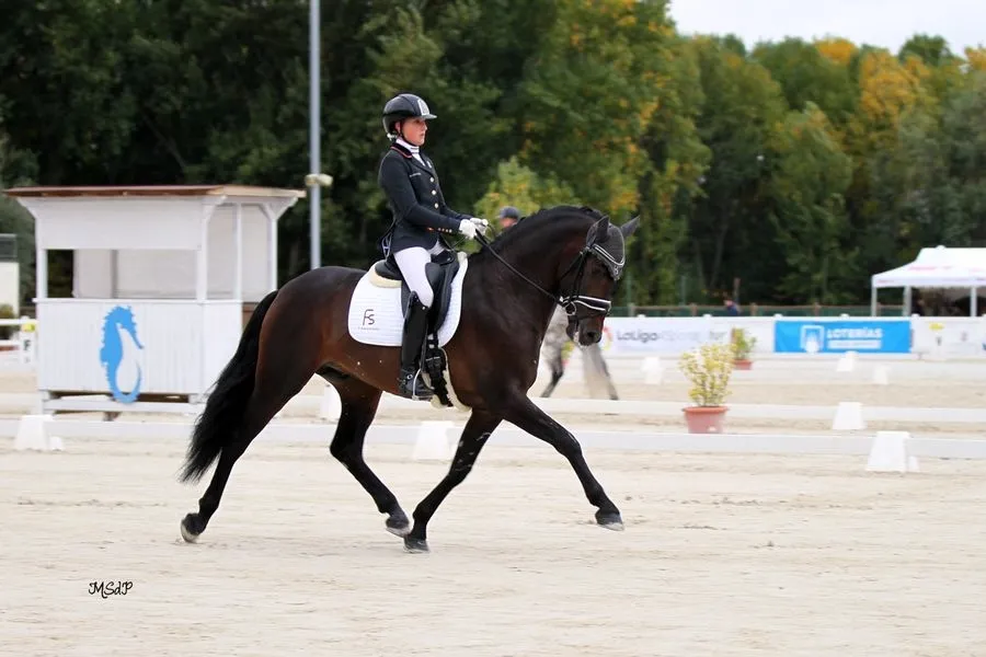 Foto 2 - Norte&ntilde;o y Molinero, entre los mejores&nbsp;en el Campeonato de Espa&ntilde;a de Caballos J&oacute;venes  