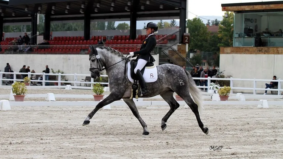 El ejemplar Molinero durante una desmotración.