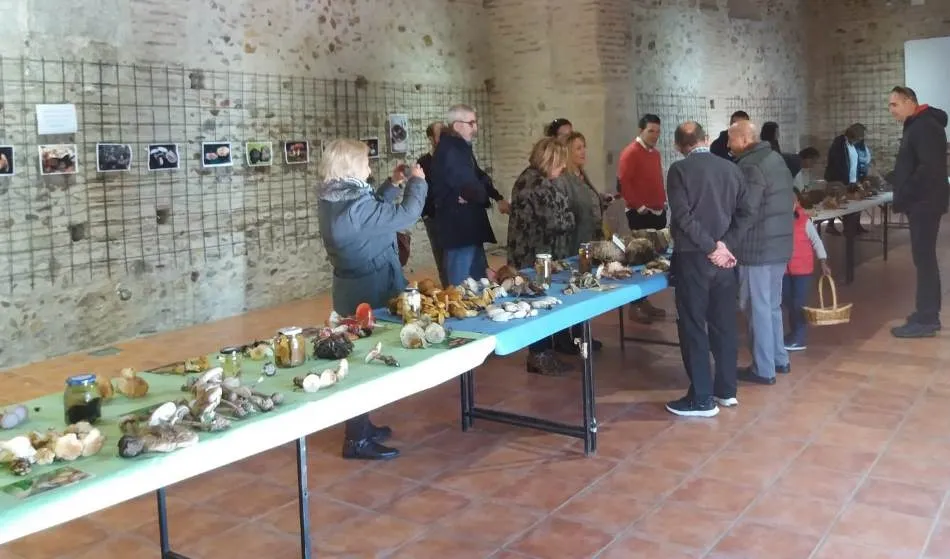 Foto 3 - Sancti-Sp&iacute;ritus recolecta m&aacute;s de 150 especies en sus VI Jornadas Micol&oacute;gicas  