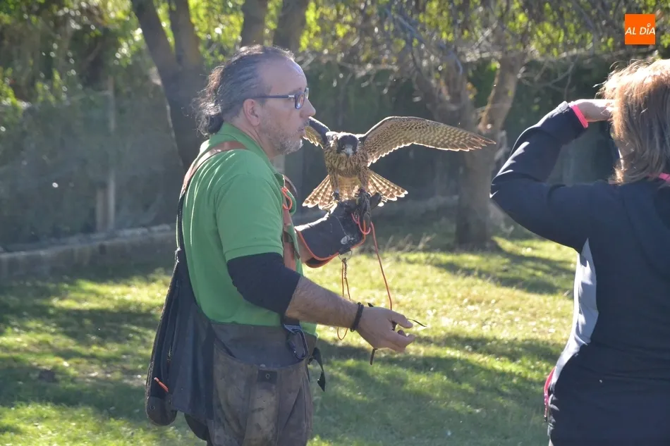 Foto 4 - La cetrer&iacute;a se convierte en un nuevo atractivo para los turistas en Mir&oacute;briga  