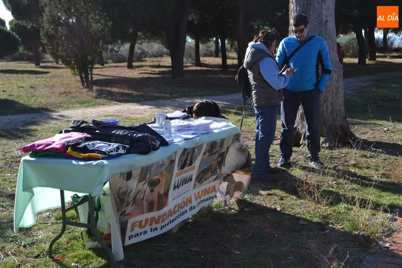 Foto 10 - Corredores y amantes de los animales se unen en el I Canicross Ciudad de Pe&ntilde;aranda