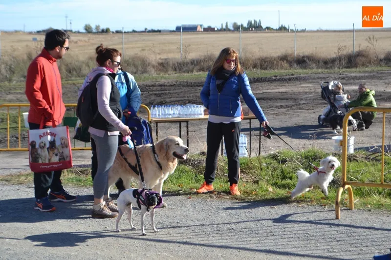 Foto 9 - Corredores y amantes de los animales se unen en el I Canicross Ciudad de Pe&ntilde;aranda