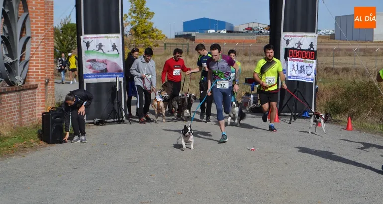 Foto 5 - Corredores y amantes de los animales se unen en el I Canicross Ciudad de Pe&ntilde;aranda
