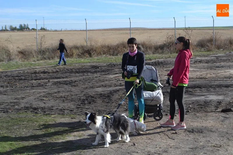Foto 3 - Corredores y amantes de los animales se unen en el I Canicross Ciudad de Pe&ntilde;aranda