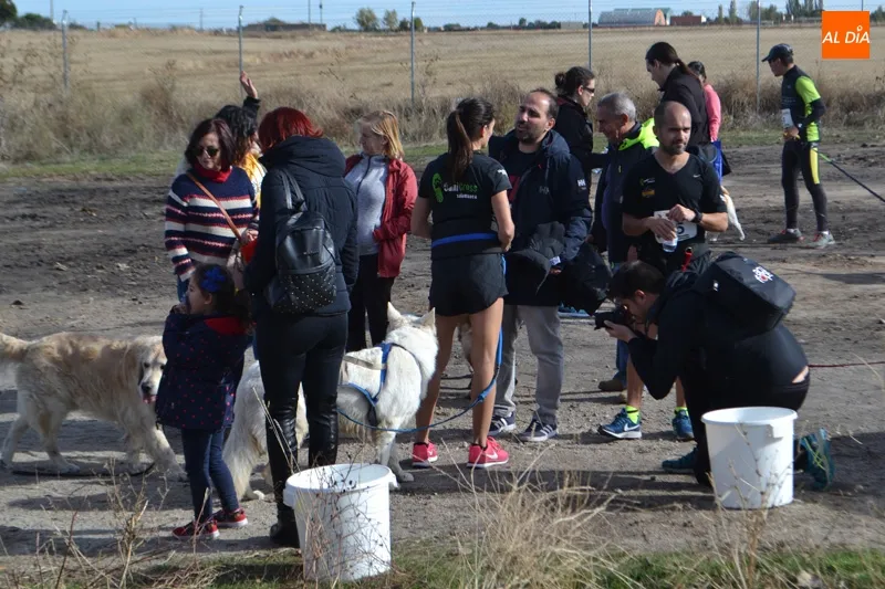 Foto 2 - Corredores y amantes de los animales se unen en el I Canicross Ciudad de Pe&ntilde;aranda