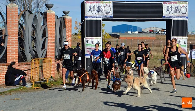 El I Canicross Ciudad de Peñaranda se celebraba este domingo en el parque El Inestal