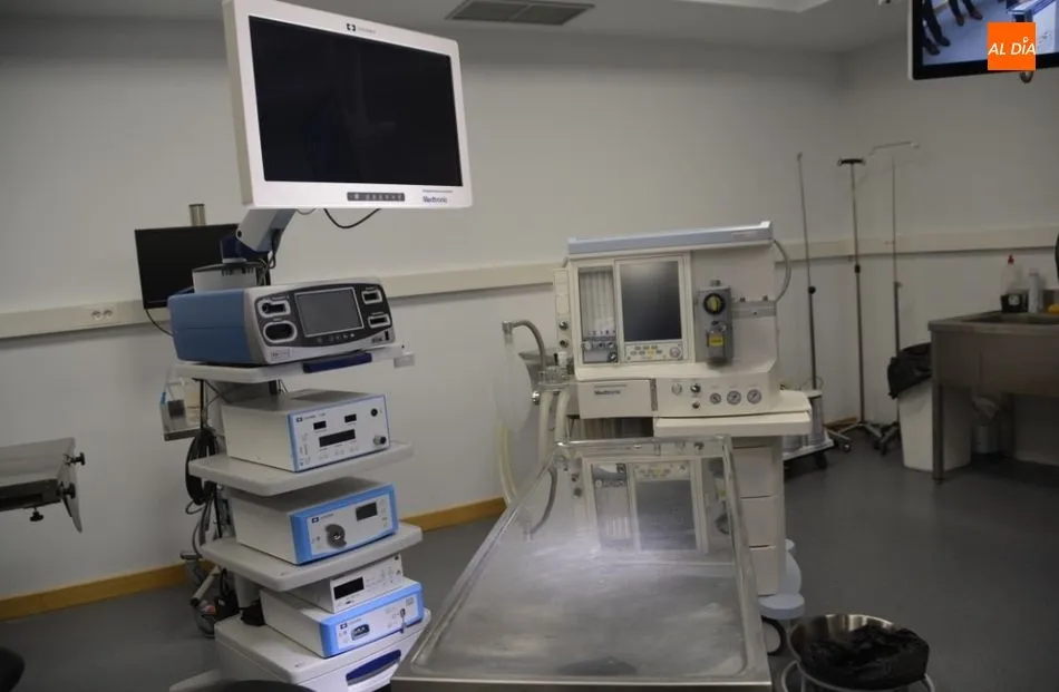 Foto 5 - La Facultad de Medicina estrena un laboratorio pionero en Espa&ntilde;a de base cr&aacute;neo lateral y anterior
