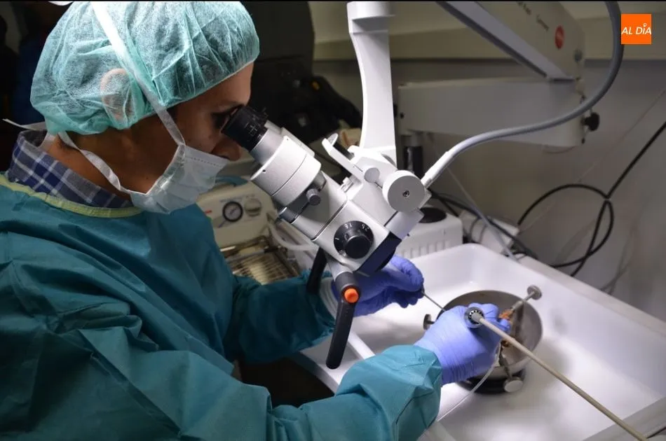 Foto 3 - La Facultad de Medicina estrena un laboratorio pionero en Espa&ntilde;a de base cr&aacute;neo lateral y anterior