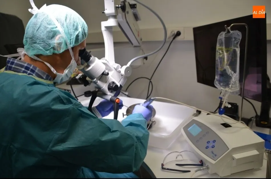 Foto 2 - La Facultad de Medicina estrena un laboratorio pionero en Espa&ntilde;a de base cr&aacute;neo lateral y anterior