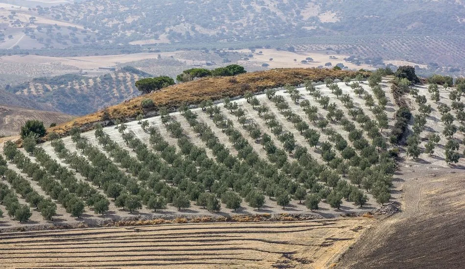 Tierras de cultivo. Foto: F. Descubre
