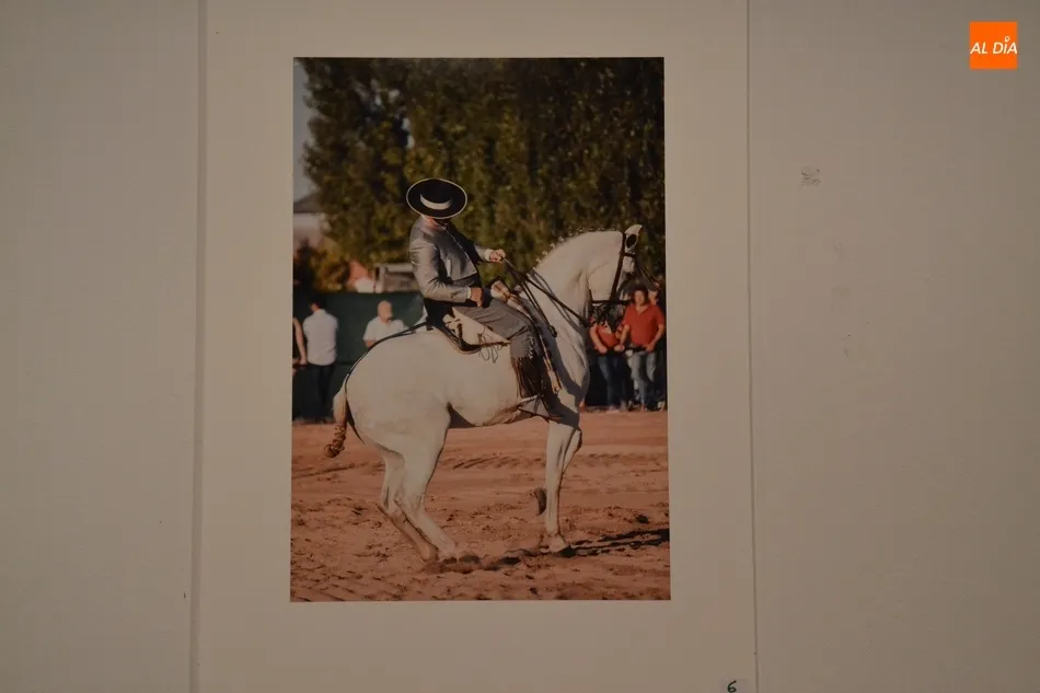 Foto 10 - Felipe Gonz&aacute;lez Dom&iacute;nguez repite victoria en el Concurso de Fotograf&iacute;a de la Feria del Caballo  