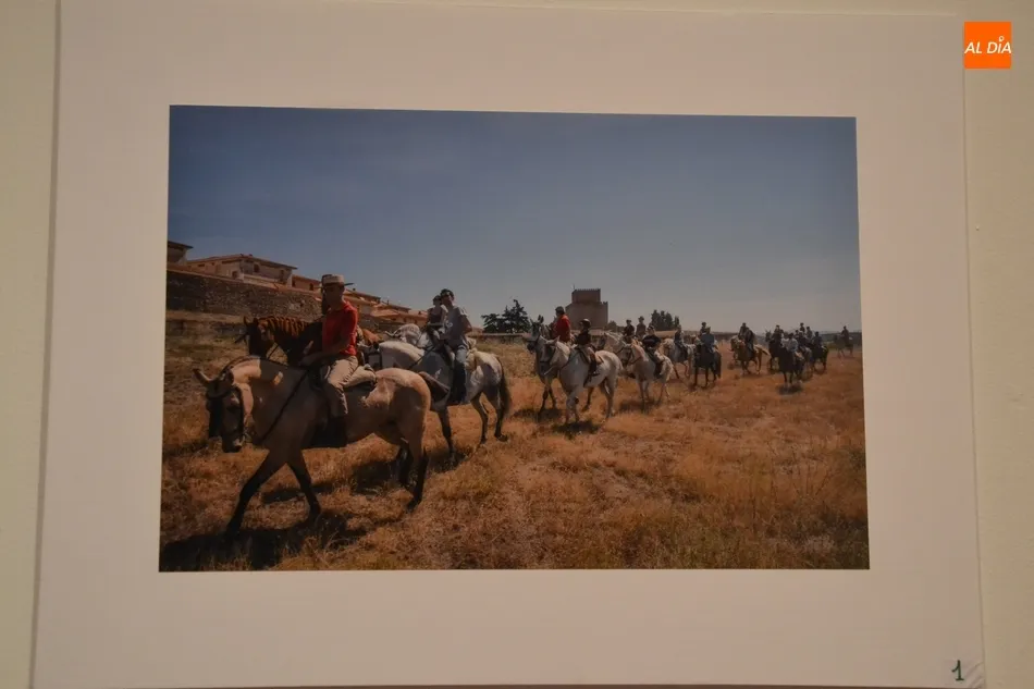 Foto 5 - Felipe Gonz&aacute;lez Dom&iacute;nguez repite victoria en el Concurso de Fotograf&iacute;a de la Feria del Caballo  