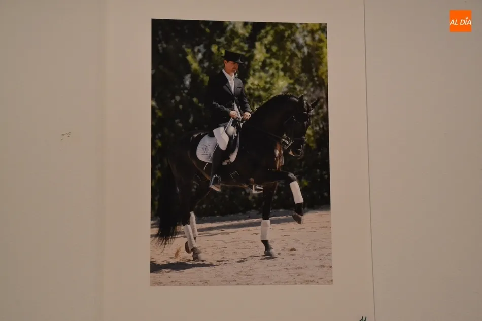 Foto 11 - Felipe Gonz&aacute;lez Dom&iacute;nguez repite victoria en el Concurso de Fotograf&iacute;a de la Feria del Caballo  