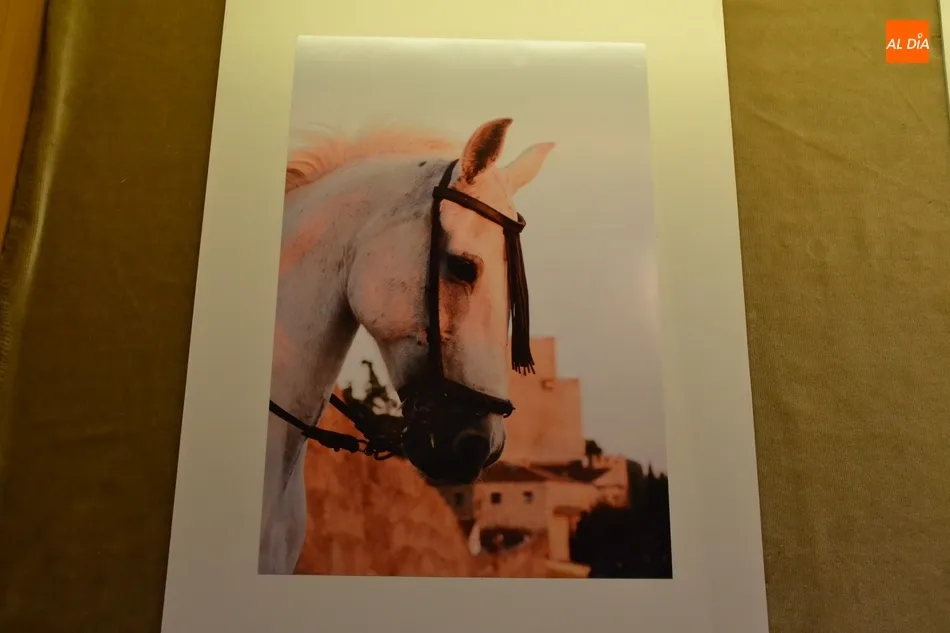 Foto 3 - Felipe Gonz&aacute;lez Dom&iacute;nguez repite victoria en el Concurso de Fotograf&iacute;a de la Feria del Caballo  