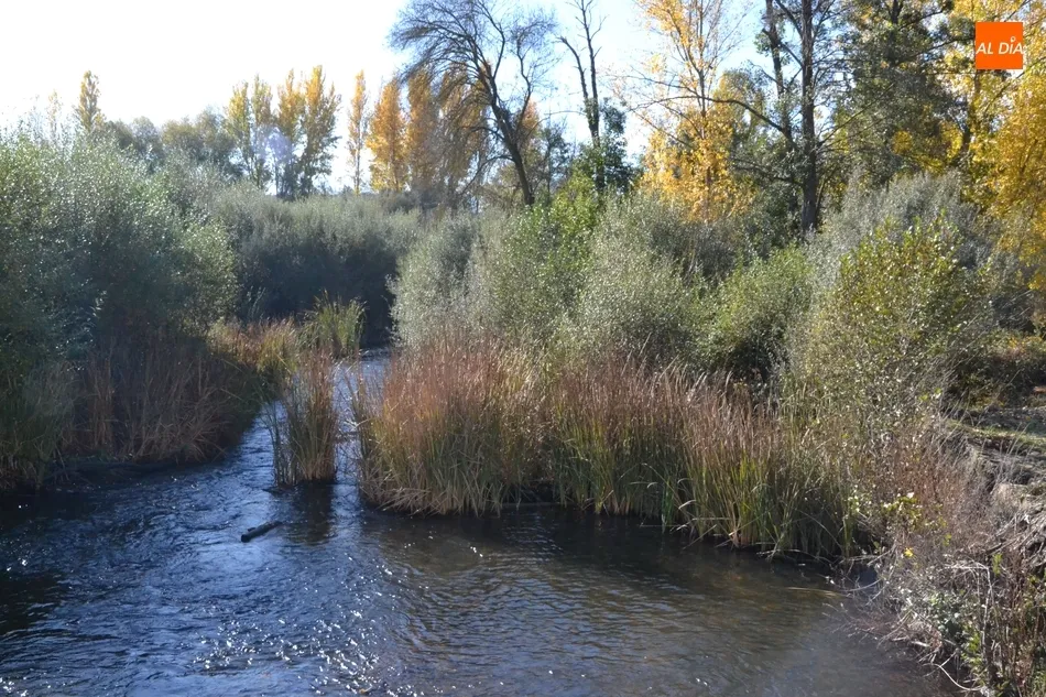 Foto 6 - Riberas del &Aacute;gueda denuncia que la zona del Paraje &ldquo;est&aacute; pidiendo una limpieza a gritos&rdquo;  