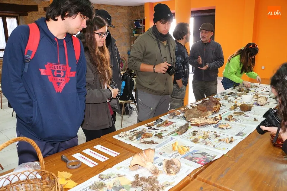 Exposición micológica en unas jornadas en Linares del pasado año