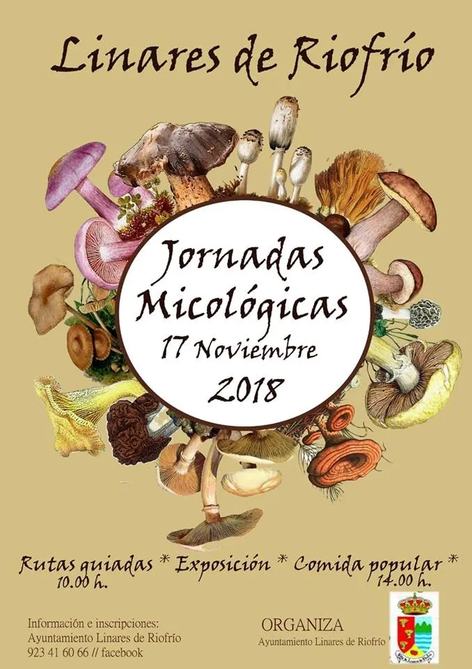 Foto 2 - Las jornadas micol&oacute;gicas anuales se celebran el 17 de noviembre