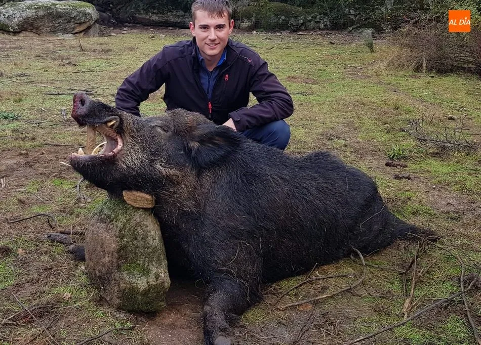 Espectacular cochino abatido por Pablo Martín Pereira en Villargordo  