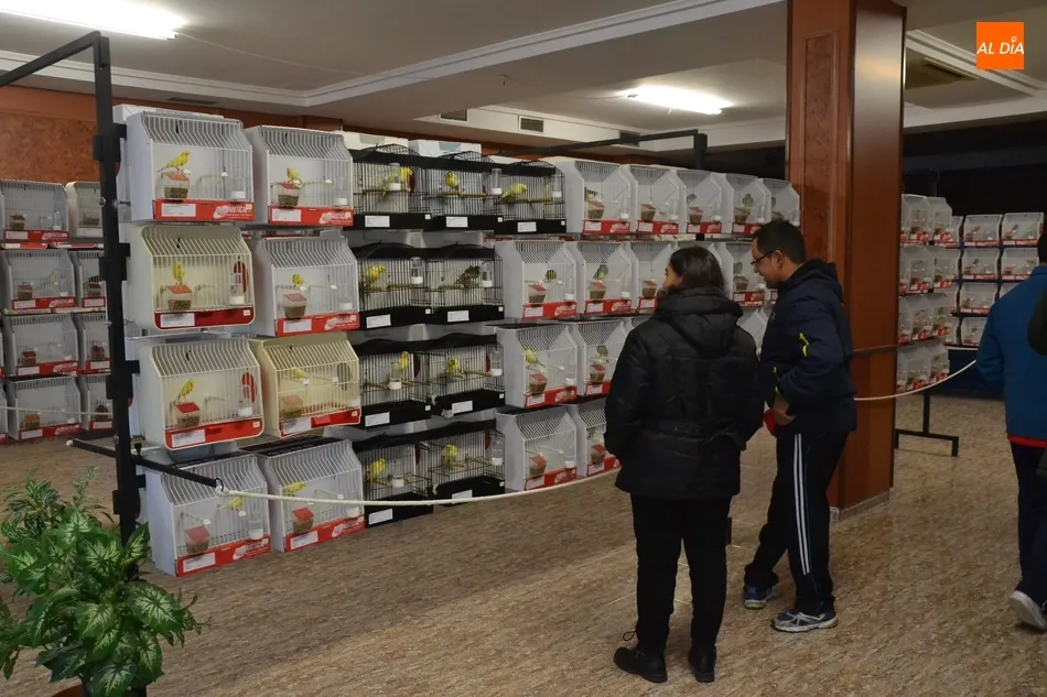 Unos 700 pájaros se dan cita en el IX Concurso-Exposición Ornitológico  