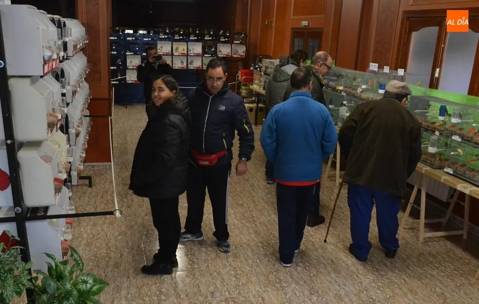 Foto 6 - Unos 700 p&aacute;jaros se dan cita en el IX Concurso-Exposici&oacute;n Ornitol&oacute;gico  