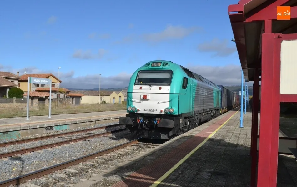 Foto 11 - La Estaci&oacute;n de Tren contin&uacute;a acumulando basura  