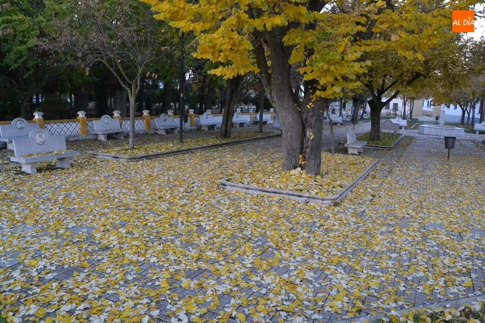 1Foto: Explosión otoñal en Los Tilos  