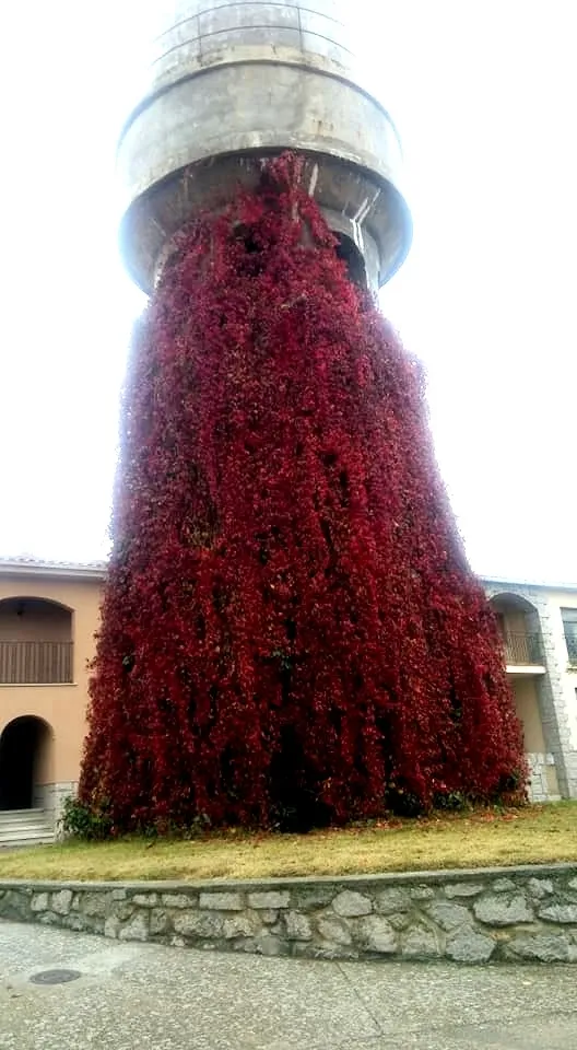 Foto 2 - Un paseo por Ledesma en oto&ntilde;o
