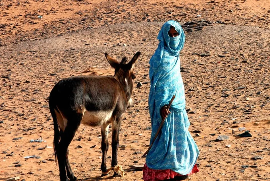 Foto 5 - Marruecos culpable, Espa&ntilde;a responsable