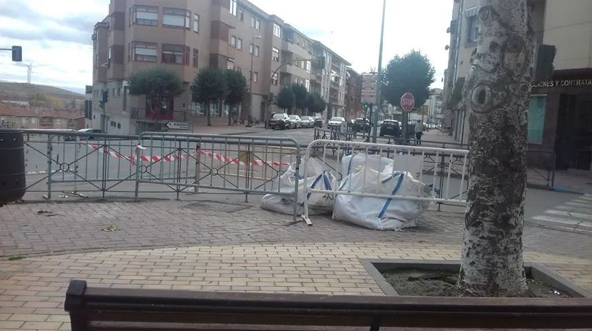 Foto 6 - Denuncian el estado de los &aacute;rboles del parque El Candil