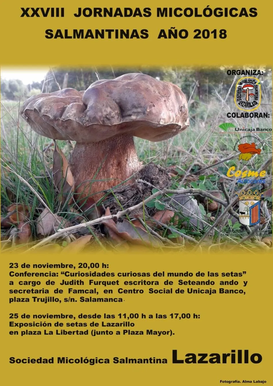 Foto 2 - La Sociedad Lazarillo organiza las 28 Jornadas Micol&oacute;gicas
