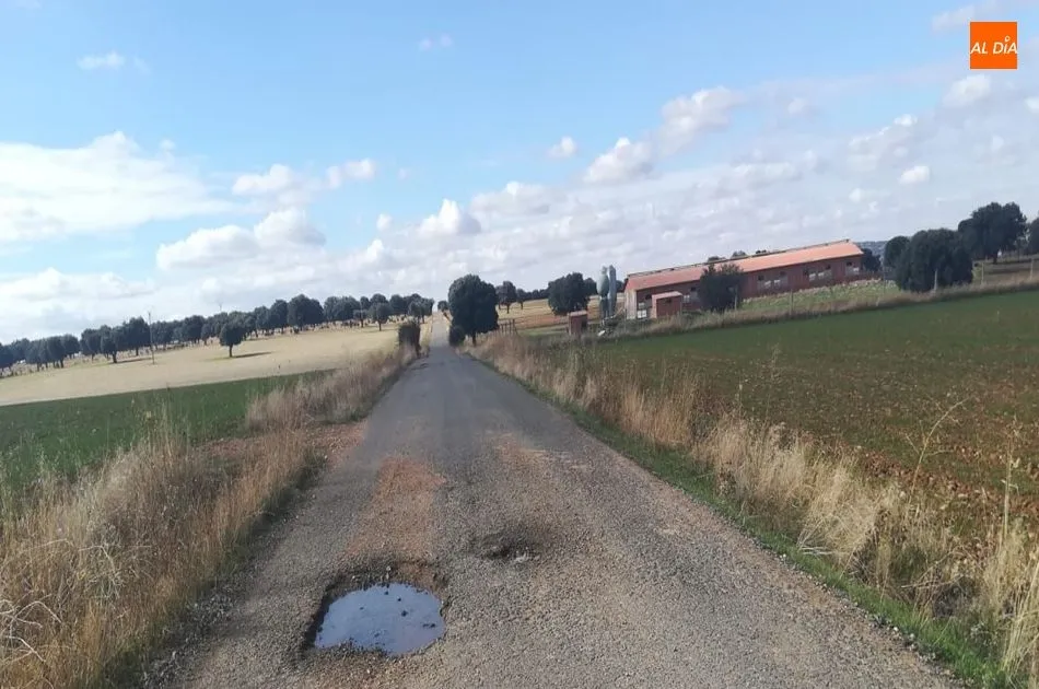 Foto 3 - Quejas por el mal estado del camino agr&iacute;cola que une Anaya de Alba y Galisancho