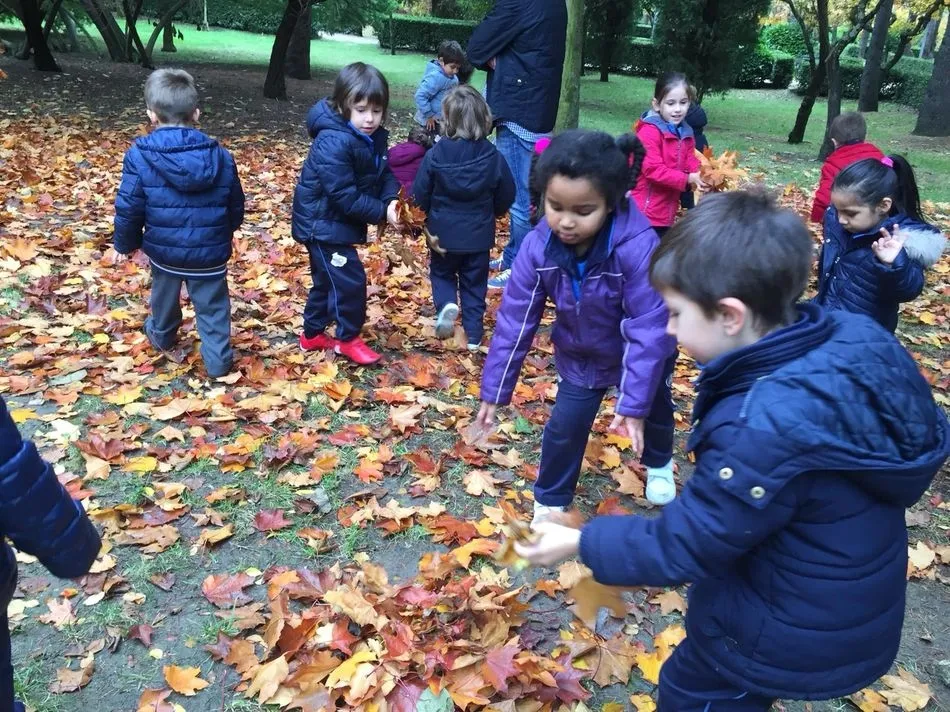 Foto 2 - Los alumnos del San Juan Bosco toman contacto con el oto&ntilde;o en el parque de los Jesuitas