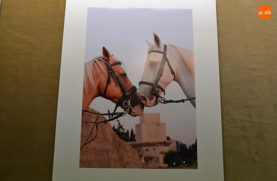 Imagen ganadora del Concurso