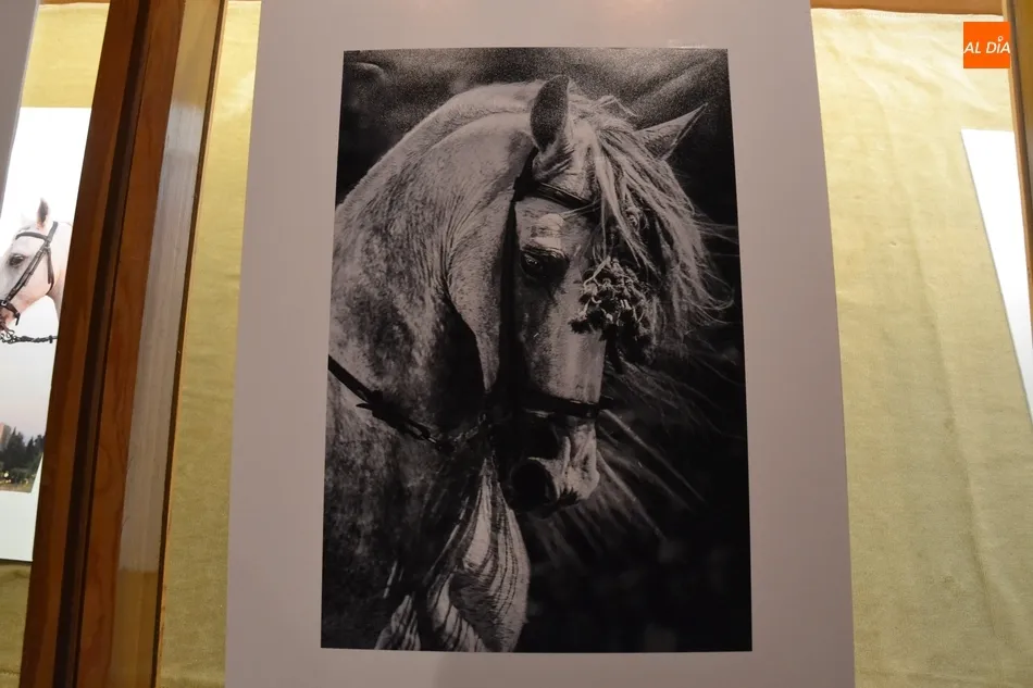 Foto 3 - M&ordf; del Carmen P&eacute;rez es la verdadera ganadora del Concurso de Fotograf&iacute;a de la Feria del Caballo  