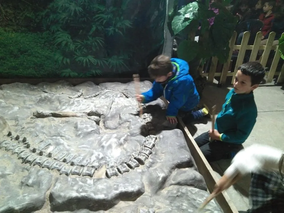 Foto 4 - Escolares de los colegios de Santa Marta visitan la exposici&oacute;n &lsquo;Dinosaurs Tour&rsquo;