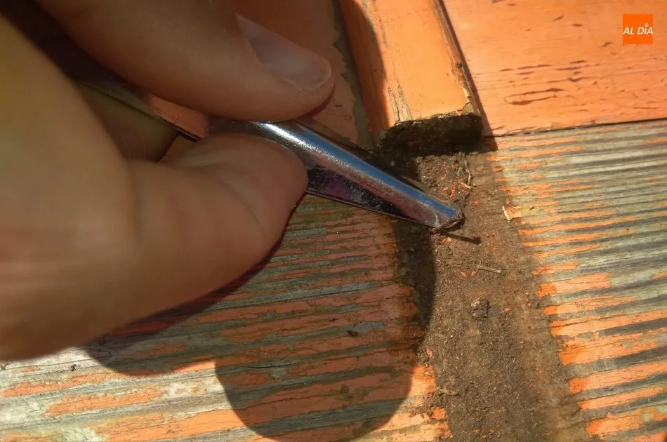 Los propios usuarios están quitando las puntas para que los perros no se dañen