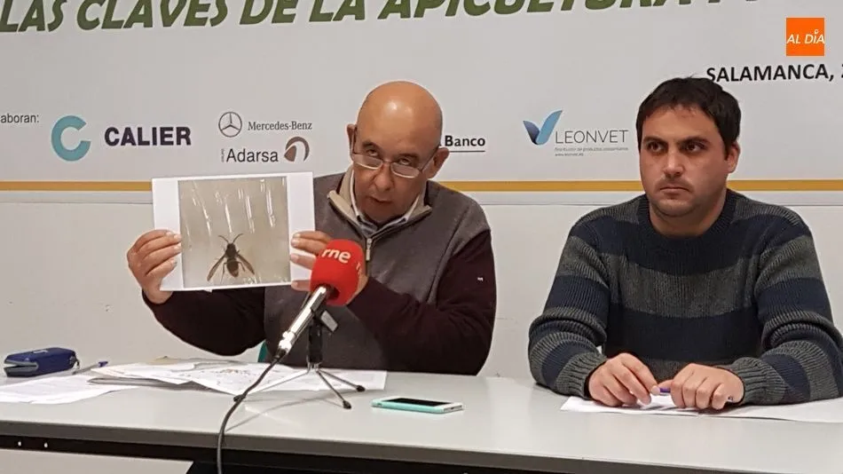 Aurelio Pérez, que muestra una imagen de la vespa velutina, y Tomás Fernández, técnico apícola de COAG