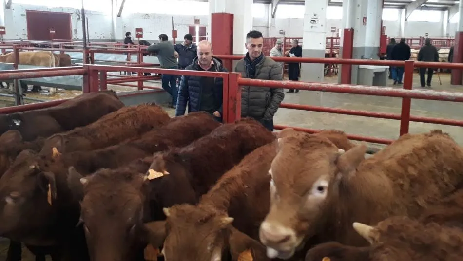 El procurador David Castaño y el diputado Jesús de San Antonio, durante su visita al Mercado de Ganado