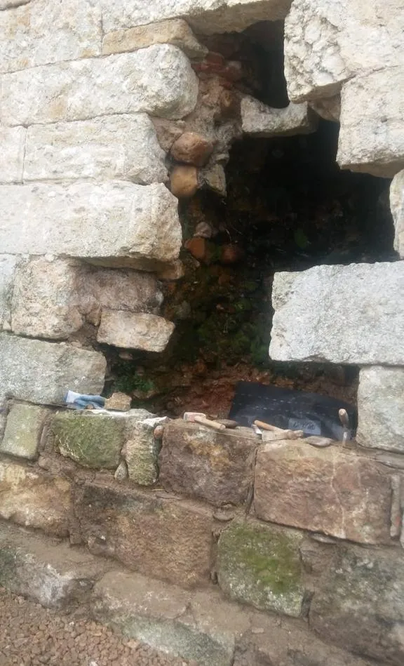 Foto 2 - La popular &lsquo;meona&rsquo; desaparece de los fosos de la muralla  