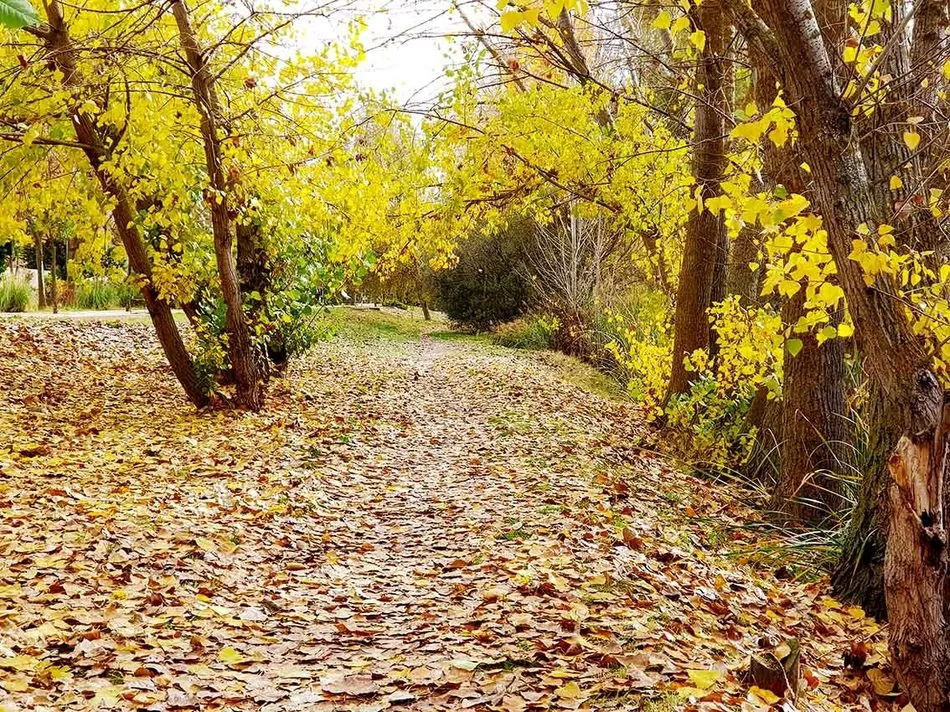 Foto 4 - Caminos de Oto&ntilde;o