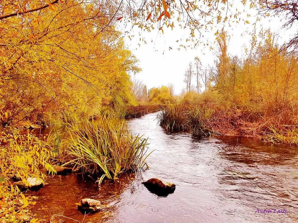 Foto 3 - Caminos de Oto&ntilde;o