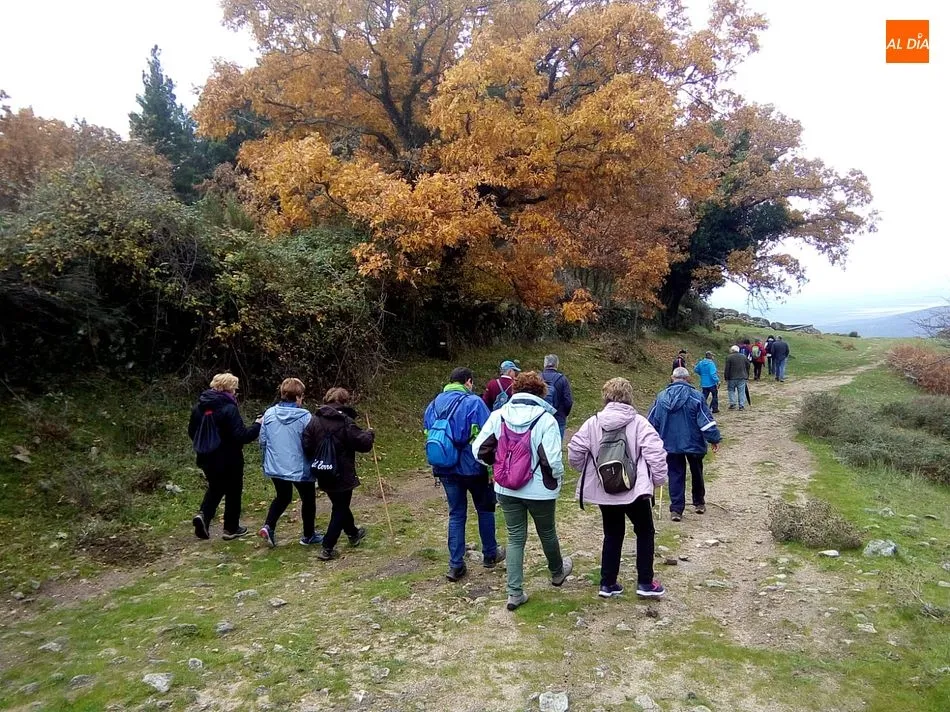 Foto 11 - La Ruta del Vino de la Sierra de Francia se sumerge en el oto&ntilde;o