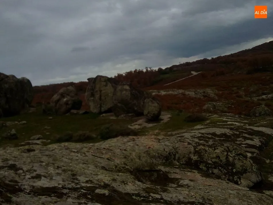 Foto 5 - La Ruta del Vino de la Sierra de Francia se sumerge en el oto&ntilde;o