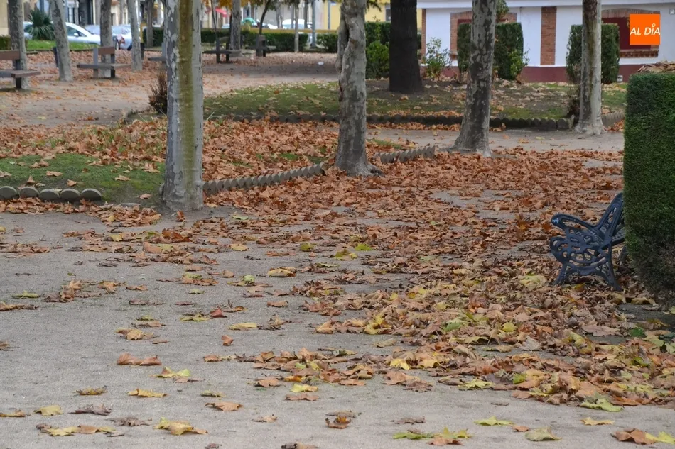 Foto 9 - 1Foto: Mar de oto&ntilde;o en La Glorieta  
