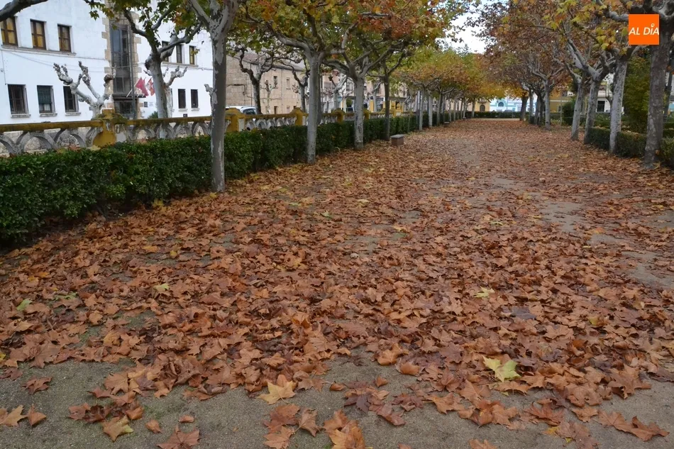 Foto 11 - 1Foto: Mar de oto&ntilde;o en La Glorieta  