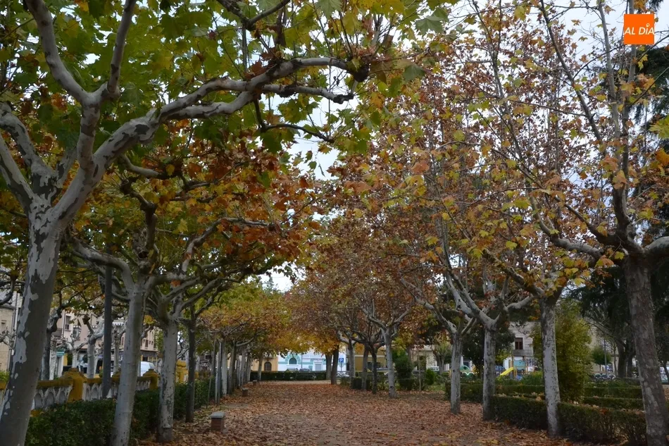 Foto 7 - 1Foto: Mar de oto&ntilde;o en La Glorieta  