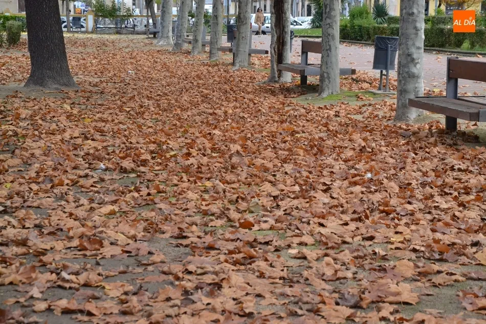 Foto 8 - 1Foto: Mar de oto&ntilde;o en La Glorieta  